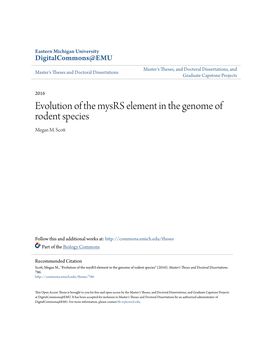 Evolution of the Mysrs Element in the Genome of Rodent Species Megan M