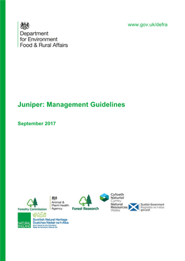 Juniper: Management Guidelines
