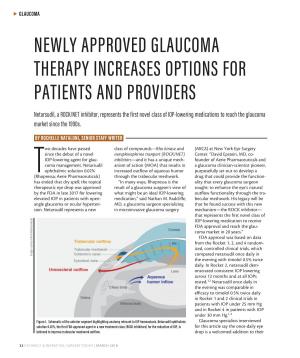 Newly Approved Glaucoma Therapy Increases Options