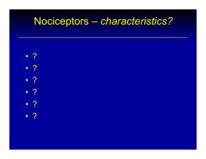 Nociceptors – Characteristics?