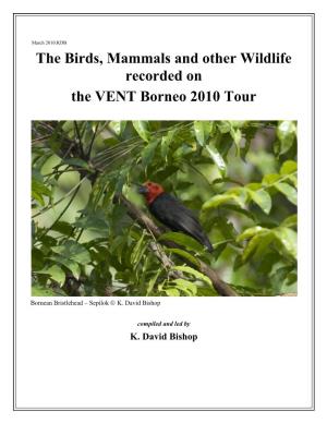 The Birds, Mammals and Other Wildlife Recorded on the VENT Borneo 2010 Tour