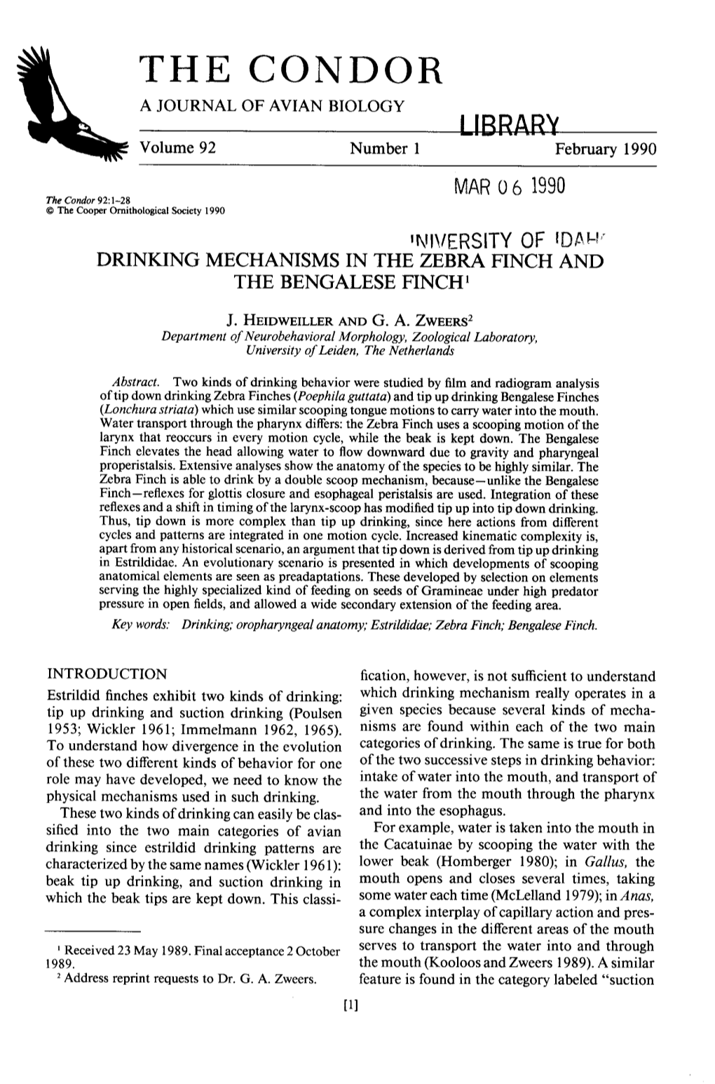 Drinking Mechanisms in the Zebra Finch and the Bengalese Finch’