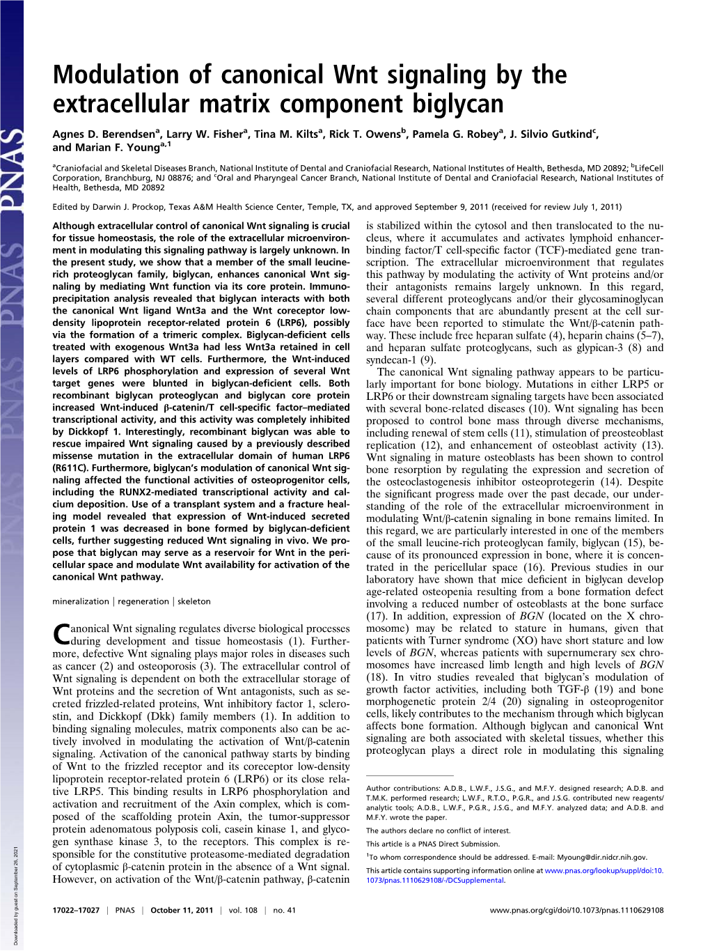 Modulation of Canonical Wnt Signaling by the Extracellular Matrix Component Biglycan