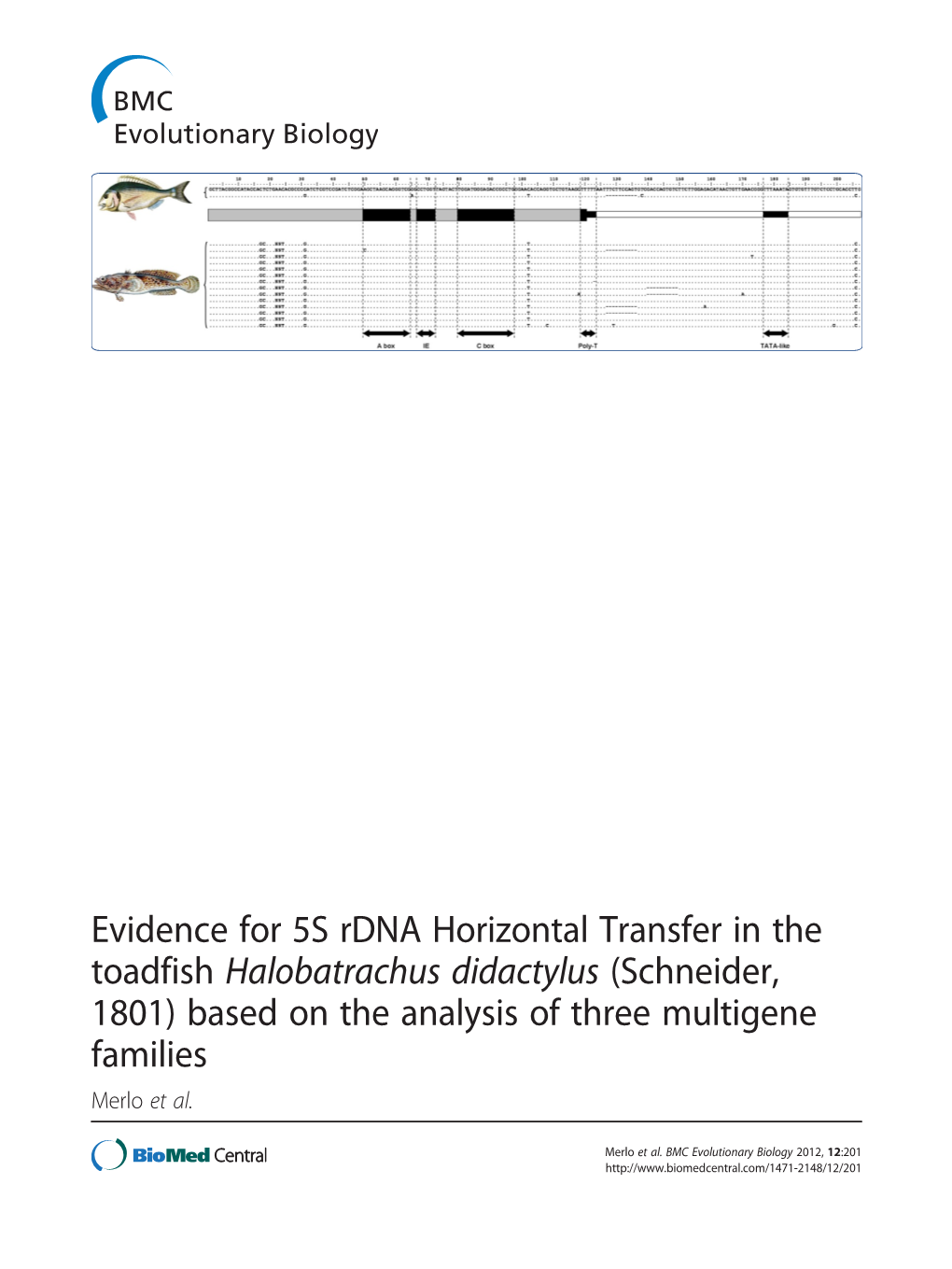Evidence for 5S Rdna Horizontal Transfer in the Toadfish Halobatrachus Didactylus (Schneider, 1801) Based on the Analysis of Three Multigene Families Merlo Et Al