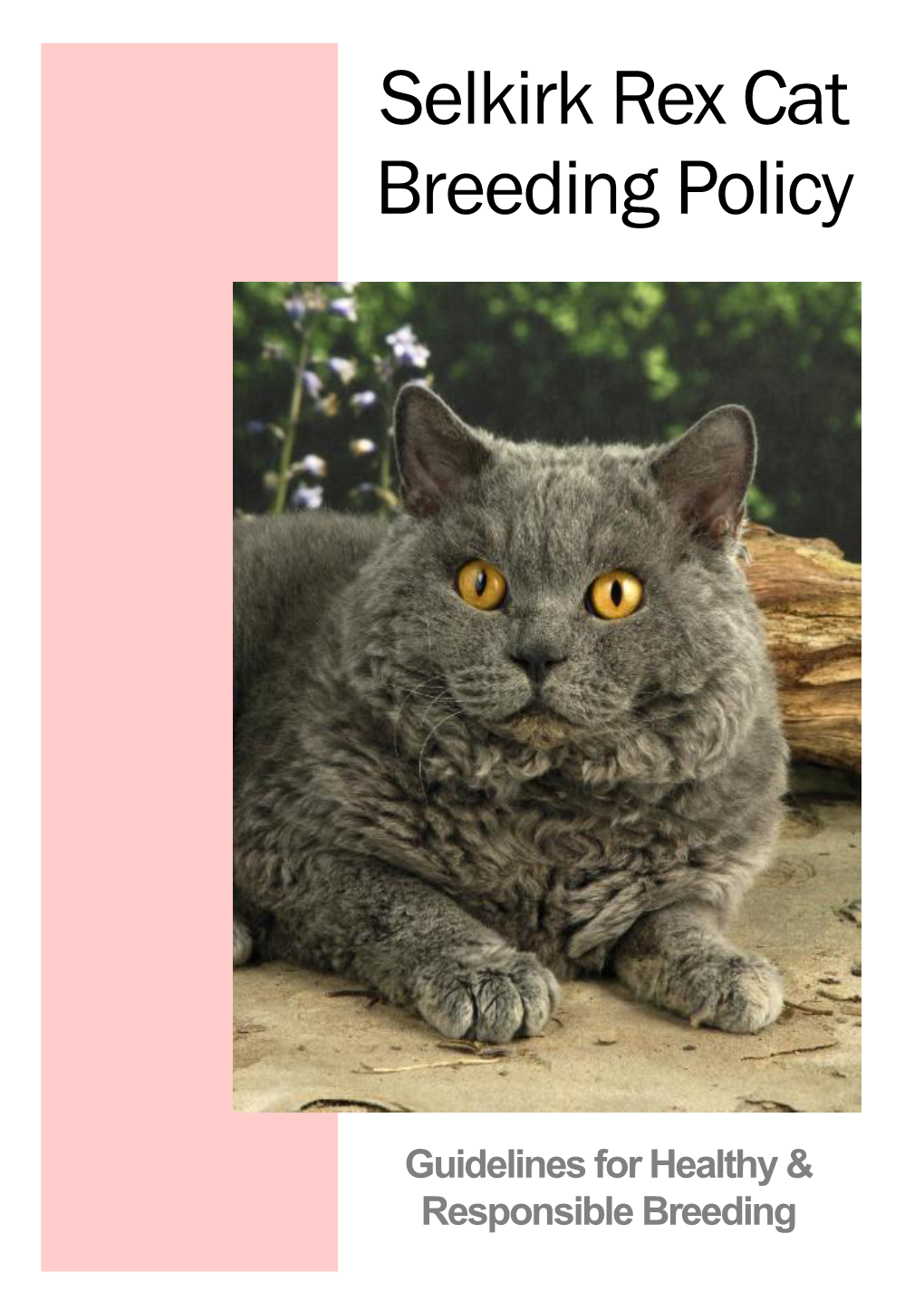 Selkirk Rex Cat Breeding Policy