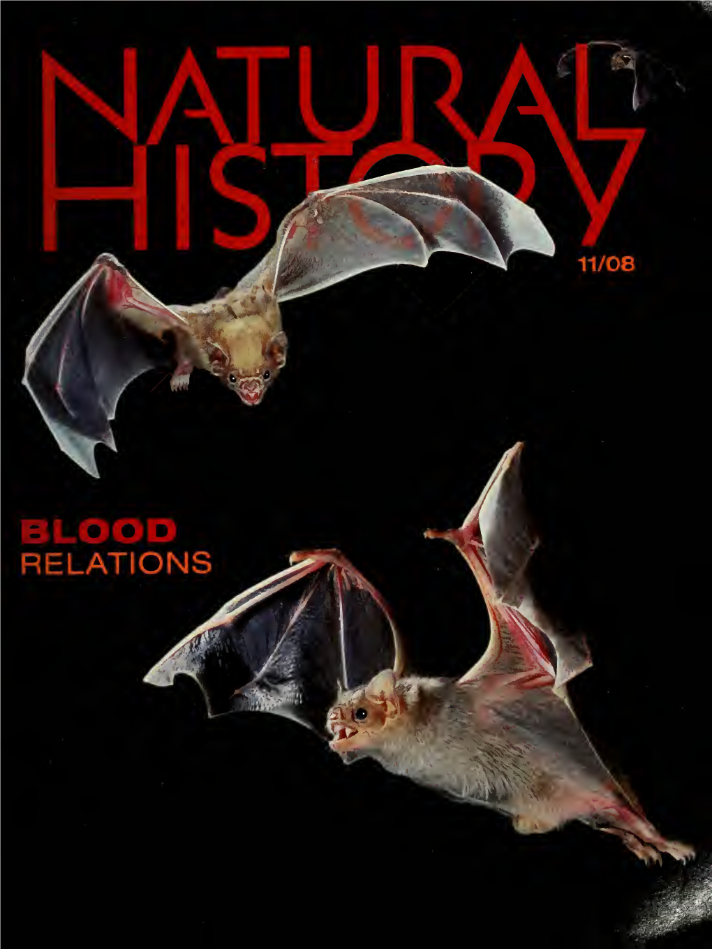 Blood ^ Relations