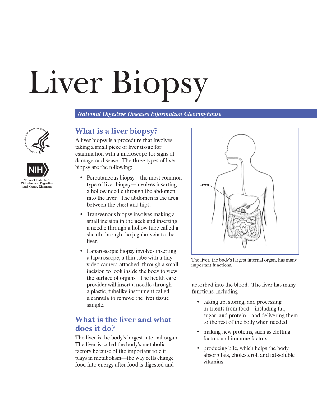 Liver Biopsy