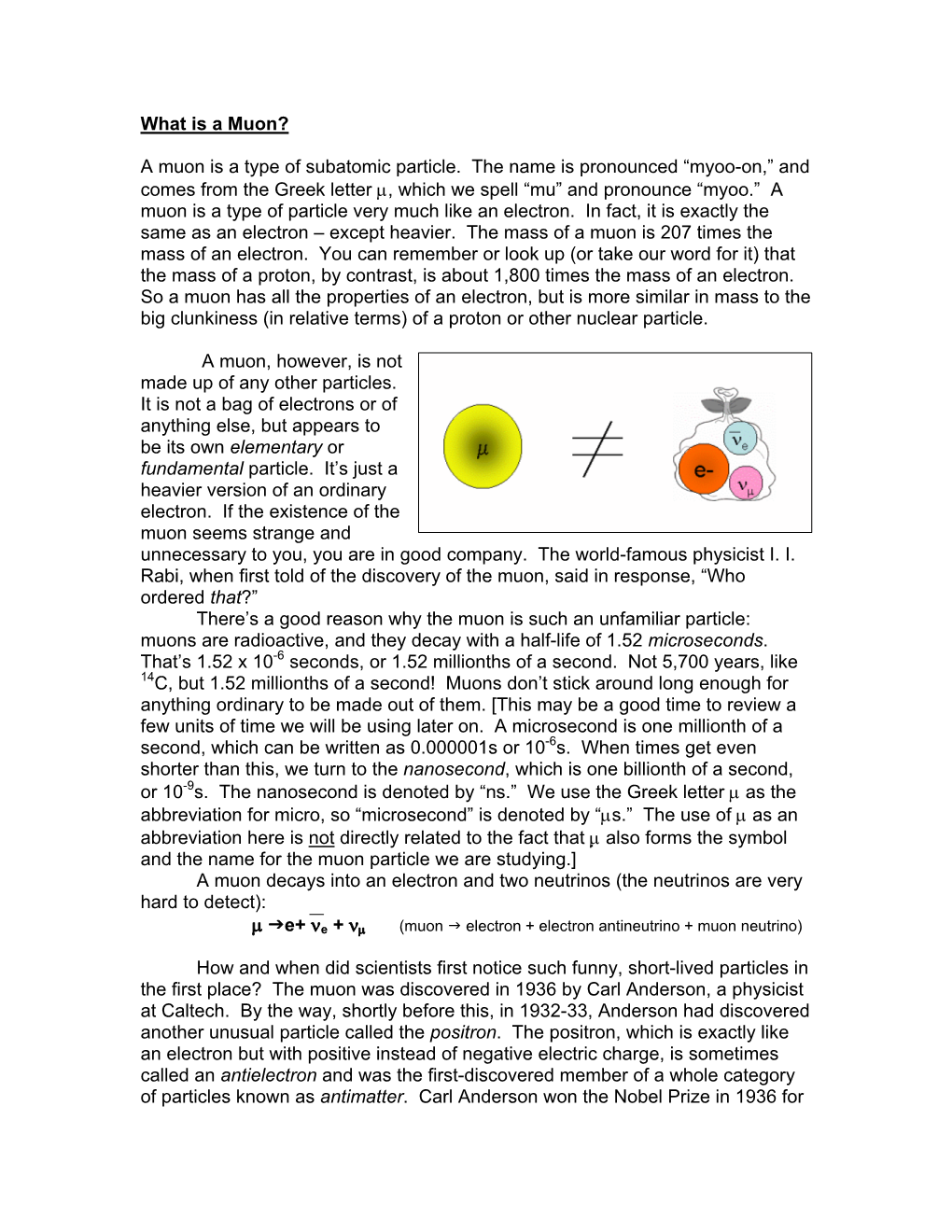 What Is a Muon?