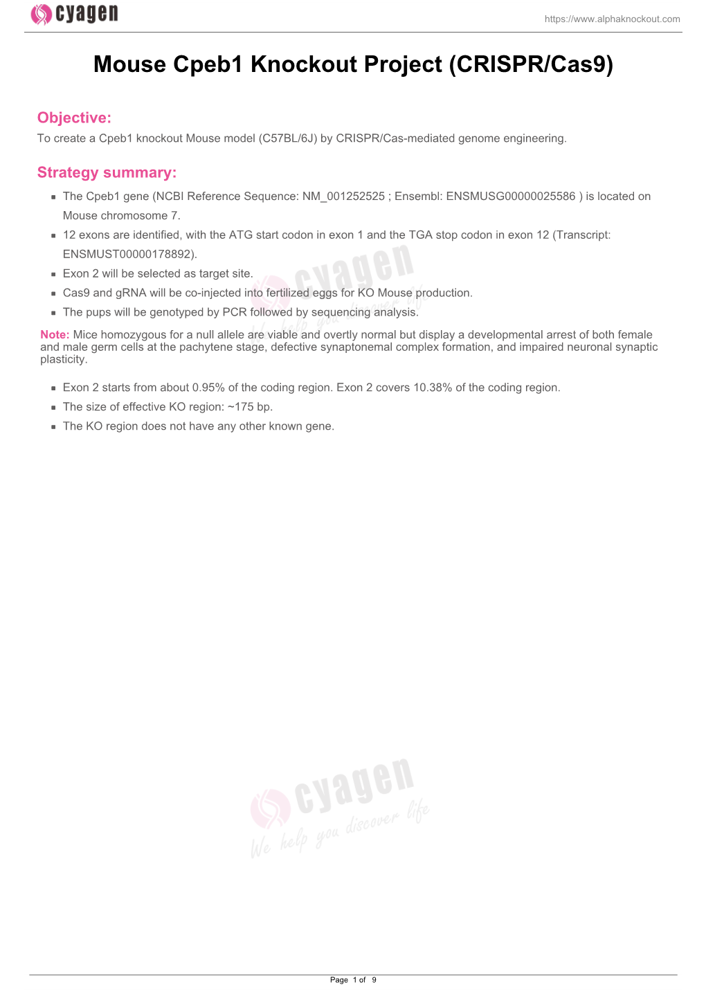 Mouse Cpeb1 Knockout Project (CRISPR/Cas9)