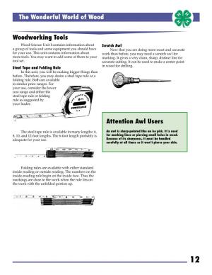 The Wonderful World of Wood Woodworking Tools Attention Awl