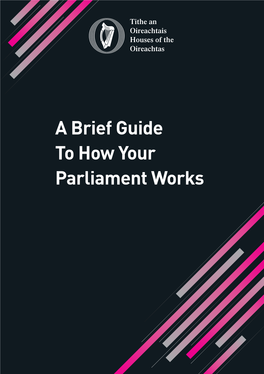 How Parliament Works File