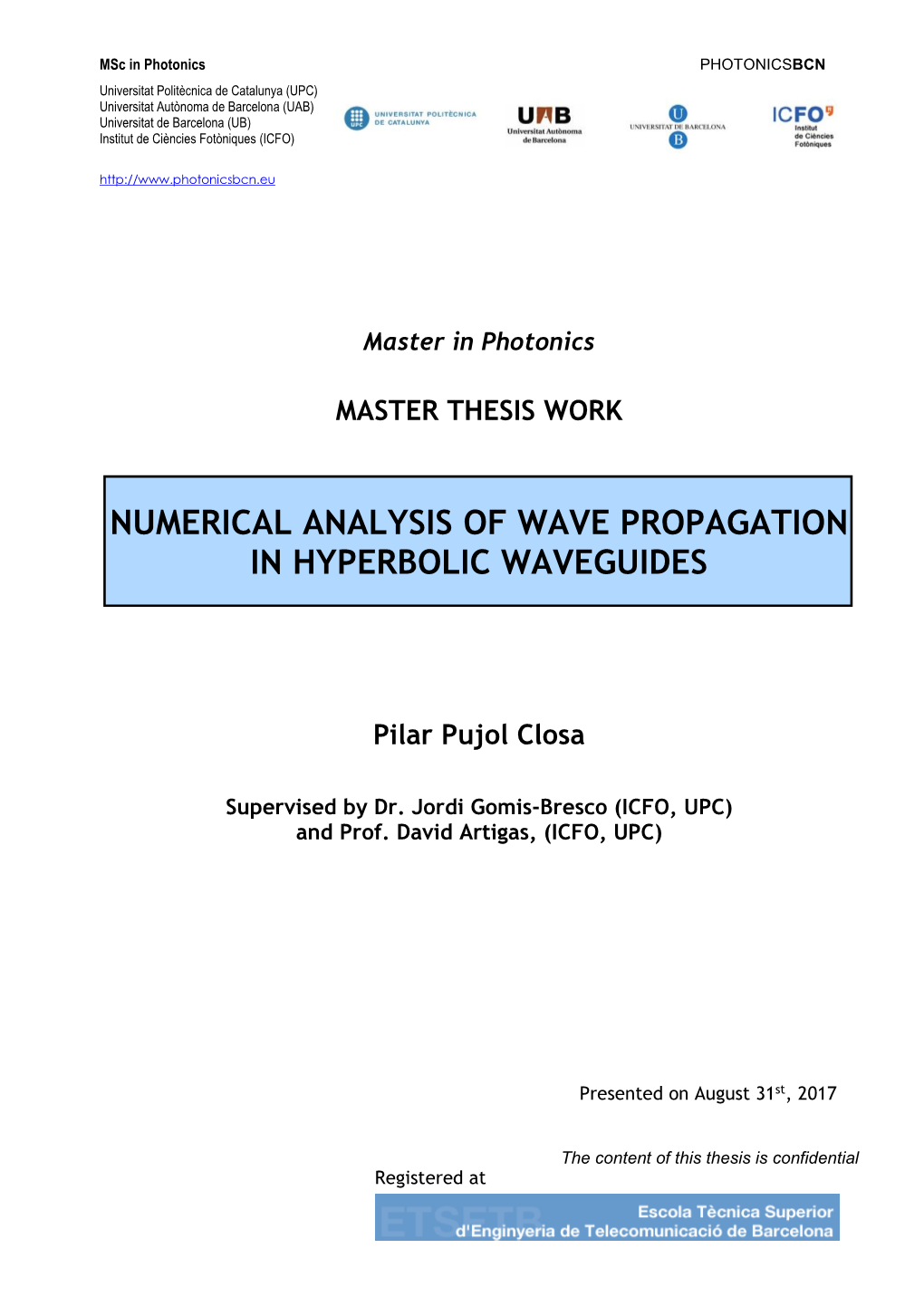 Numerical Analysis of Wave Propagation in Hyperbolic Waveguides