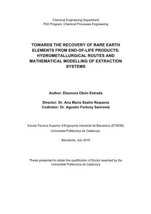 Towards the Recovery of Rare Earth Elements from End-Of-Life Products: Hydrometallurgical Routes and Mathematical Modelling of Extraction Systems