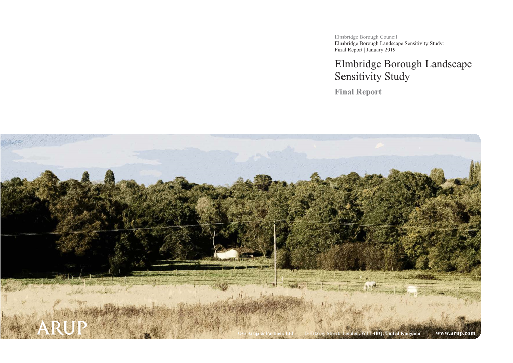 Elmbridge Borough Landscape Sensitivity Study: Final Report | January 2019 Elmbridge Borough Landscape Sensitivity Study Final Report