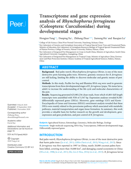 Transcriptome and Gene Expression Analysis of Rhynchophorus Ferrugineus (Coleoptera: Curculionidae) During Developmental Stages