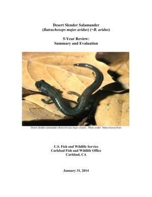 Desert Slender Salamander 5-Year Review