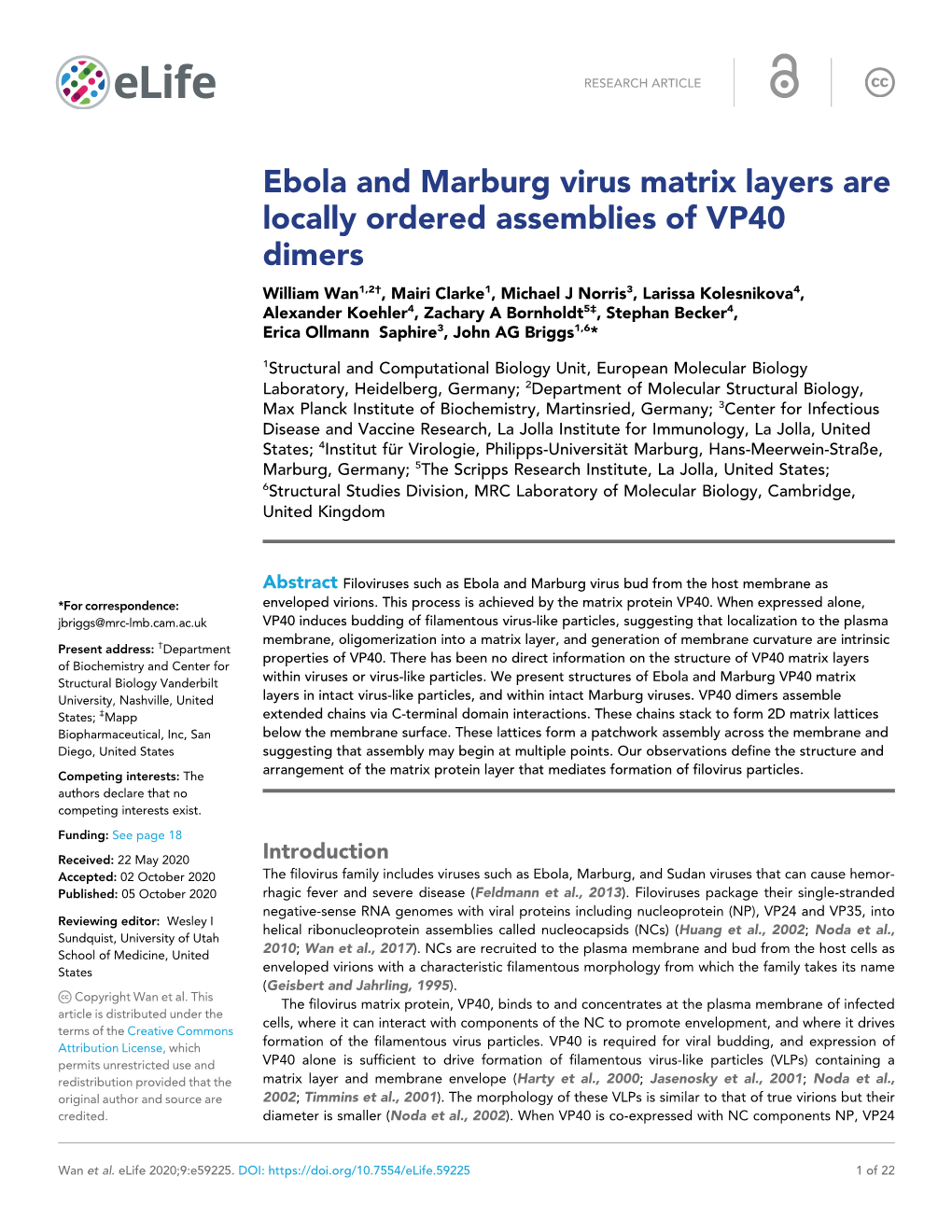 Ebola and Marburg Virus Matrix Layers Are Locally Ordered Assemblies Of