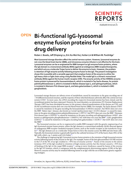 Bi-Functional Igg-Lysosomal Enzyme Fusion Proteins for Brain Drug Delivery Ruben J