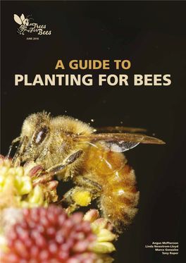 Planting for Bees