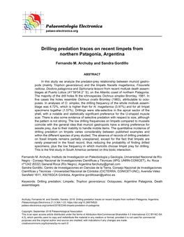 Drilling Predation Traces on Recent Limpets from Northern Patagonia, Argentina