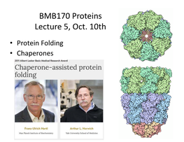 BMB170 Proteins Lecture 5, Oct. 10Th