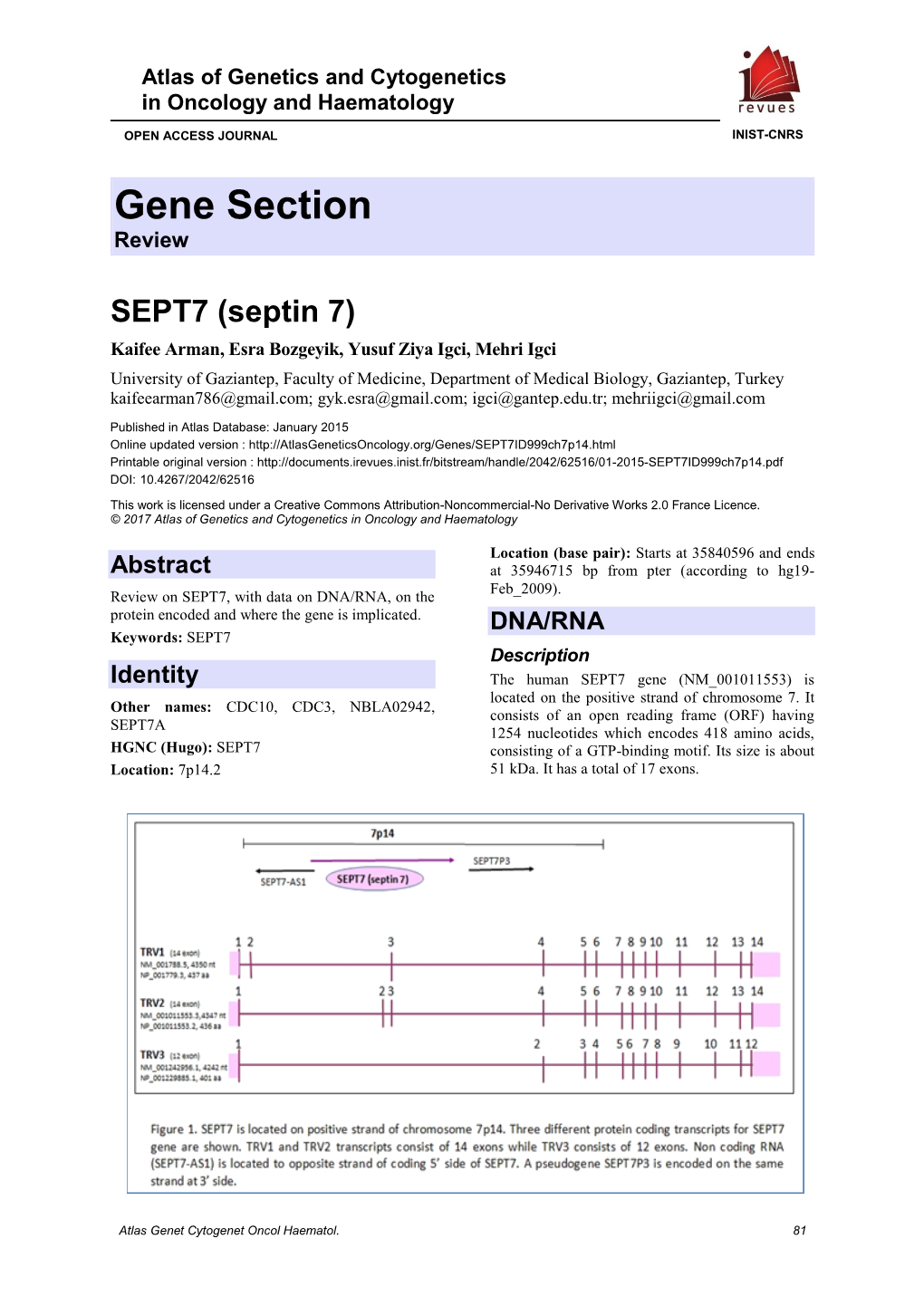 Gene Section Review