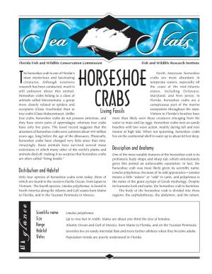 Horseshoe Crabs17.Indd