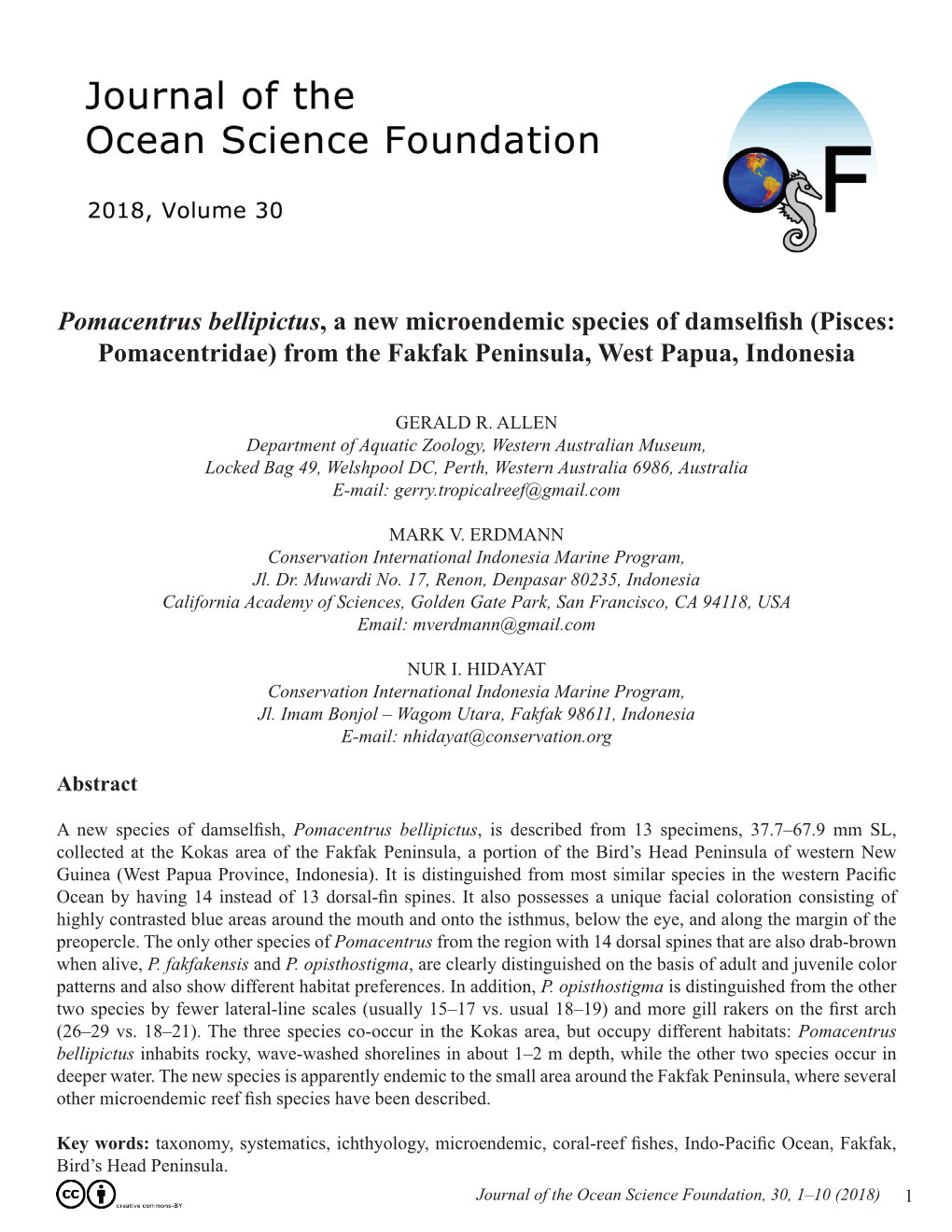 Pomacentrus Bellipictus, a New Microendemic Species of Damselfish (Pisces: Pomacentridae) from the Fakfak Peninsula, West Papua, Indonesia