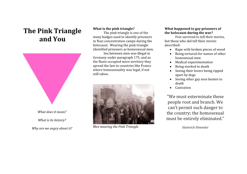 The Pink Triangle And