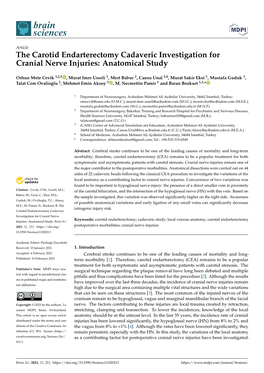 The Carotid Endarterectomy Cadaveric Investigation for Cranial Nerve Injuries: Anatomical Study