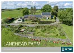 Lanehead Farm