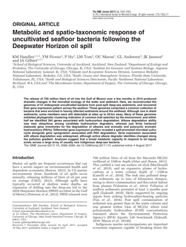 Metabolic and Spatio-Taxonomic Response of Uncultivated Seafloor Bacteria Following the Deepwater Horizon Oil Spill