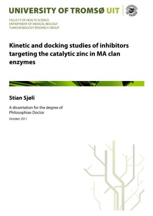 Kinetic and Docking Studies of Inhibitors Targeting the Catalytic Zinc in MA Clan Enzymes