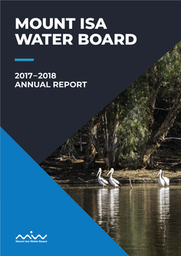 2017–2018 ANNUAL REPORT Vision
