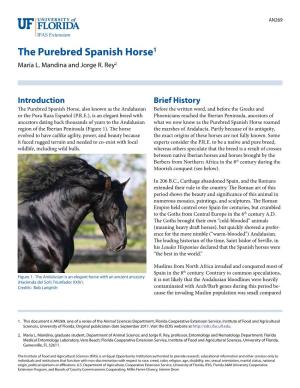 The Purebred Spanish Horse1 María L