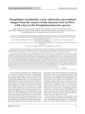 Paraglomus Occidentale, a New Arbuscular Mycorrhizal Fungus from the Sources of the Amazon River in Peru, with a Key to the Paraglomeromycetes Species