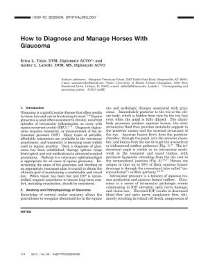 How to Diagnose and Manage Horses with Glaucoma
