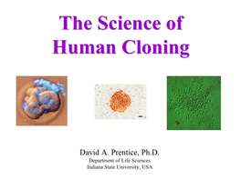 The Science of Human Cloning