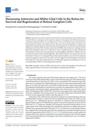 Harnessing Astrocytes and Müller Glial Cells in the Retina for Survival and Regeneration of Retinal Ganglion Cells
