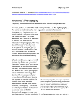 Anatomy's Photography