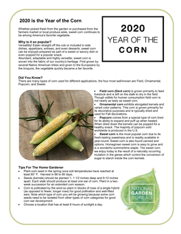 2020 Is the Year of the Corn