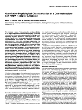 Quantitative Physiological Characterization of a Quinoxalinedione Non-NMDA Receptor Antagonist