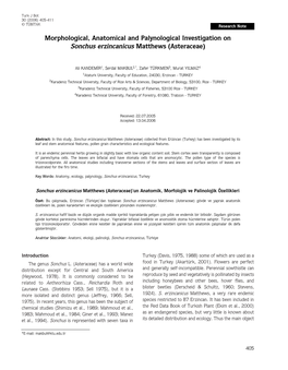 Morphological, Anatomical and Palynological Investigation on Sonchus Erzincanicus Matthews (Asteraceae)