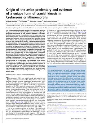 Origin of the Avian Predentary and Evidence of a Unique Form of Cranial Kinesis in Cretaceous Ornithuromorphs