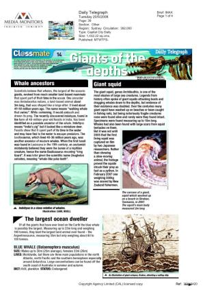 Whale Ancestors Giant Squid
