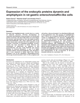 Expression of the Endocytic Proteins Dynamin and Amphiphysin in Rat Gastric Enterochromaffin-Like Cells
