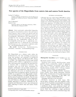 New Species of the Diaporthales from Eastern Asia and Eastern North America