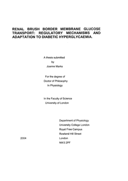 Renal Brush Border Membrane Glucose Transport: Regulatory Mechanisms and Adaptation to Diabetic Hyperglycaemia