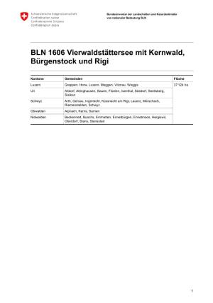 BLN 1606 Vierwaldstättersee Mit Kernwald, Bürgenstock Und Rigi