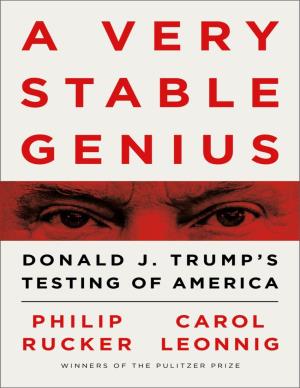 A Very Stable Genius at That!” Trump Invoked the “Stable Genius” Phrase at Least Four Additional Times